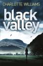 Black Valley - Preview