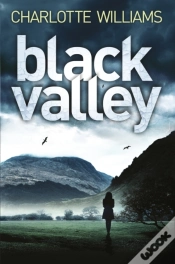Capa do artigo Black Valley