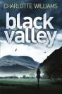 Black Valley - Preview