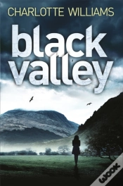 Capa do artigo Black Valley
