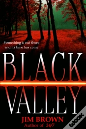 Capa do artigo Black Valley
