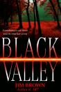 Black Valley - Preview