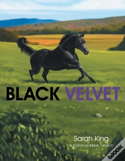 Capa do artigo Black Velvet