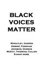 Black Voices Matter - Preview