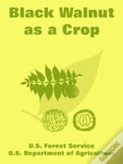 Capa do artigo Black Walnut As A Crop