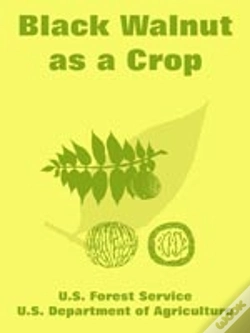 Capa do artigo Black Walnut As A Crop