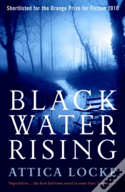Capa do artigo Black Water Rising