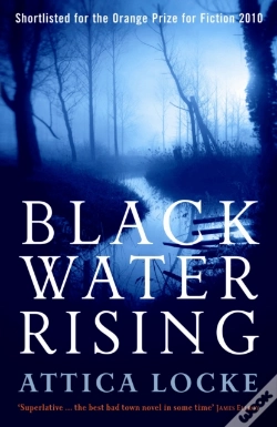 Capa do artigo Black Water Rising