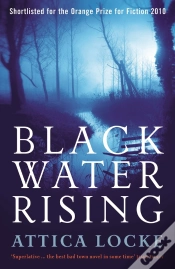 Capa do artigo Black Water Rising
