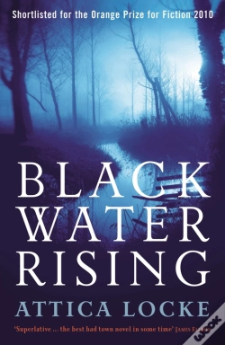 Capa do artigo Black Water Rising