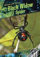 Black Widow Spider