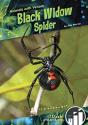 Black Widow Spider - Preview