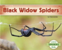 Black Widow Spiders - Preview