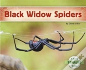 Capa do artigo Black Widow Spiders
