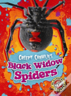 Black Widow Spiders