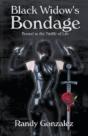 Black Widow'S Bondage - Preview