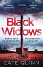 Black Widows - Preview