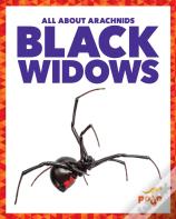 Black Widows