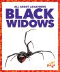 Black Widows - Preview