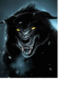 Black Wolf Reign - Preview