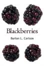 Blackberries - Preview
