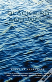 Capa do artigo Blackbird And Wolf
