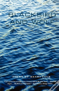 Capa do artigo Blackbird And Wolf