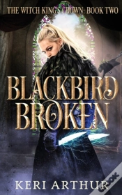 Capa do artigo Blackbird Broken