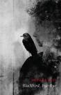 Blackbird, Bye Bye - Preview