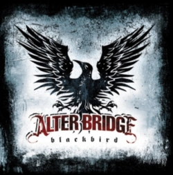 Capa do artigo Blackbird - CD