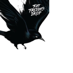 Capa do artigo Blackbird - CD