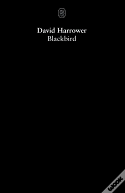 Capa do artigo Blackbird