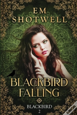 Capa do artigo Blackbird Falling
