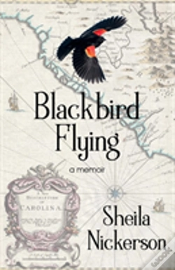Capa do artigo Blackbird Flying