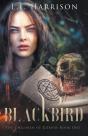 Blackbird - Preview