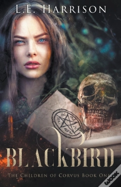 Capa do artigo Blackbird