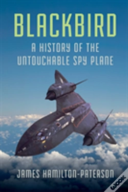 Capa do artigo Blackbird