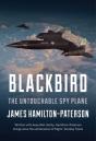 Blackbird - Preview