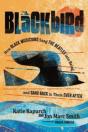 Blackbird - Preview