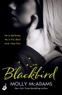 Blackbird - Preview