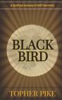 Blackbird - Preview