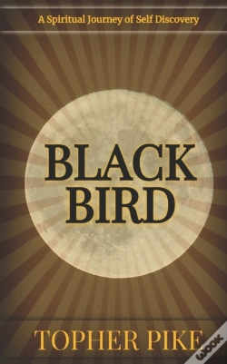 Capa do artigo Blackbird