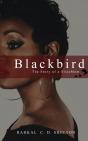 Blackbird - Preview
