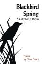 Blackbird Spring - Preview