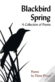 Capa do artigo Blackbird Spring