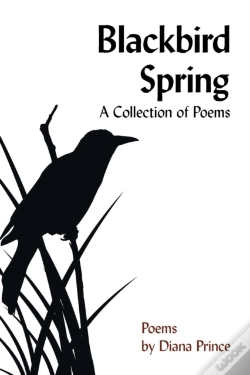 Capa do artigo Blackbird Spring