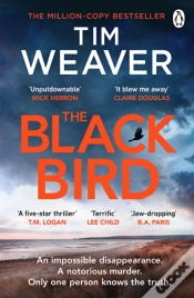 Capa do artigo Blackbird