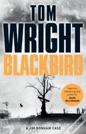 Capa do artigo Blackbird