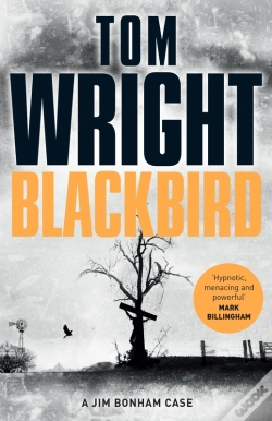 Capa do artigo Blackbird