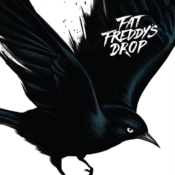 Capa do artigo Blackbird - Vinil